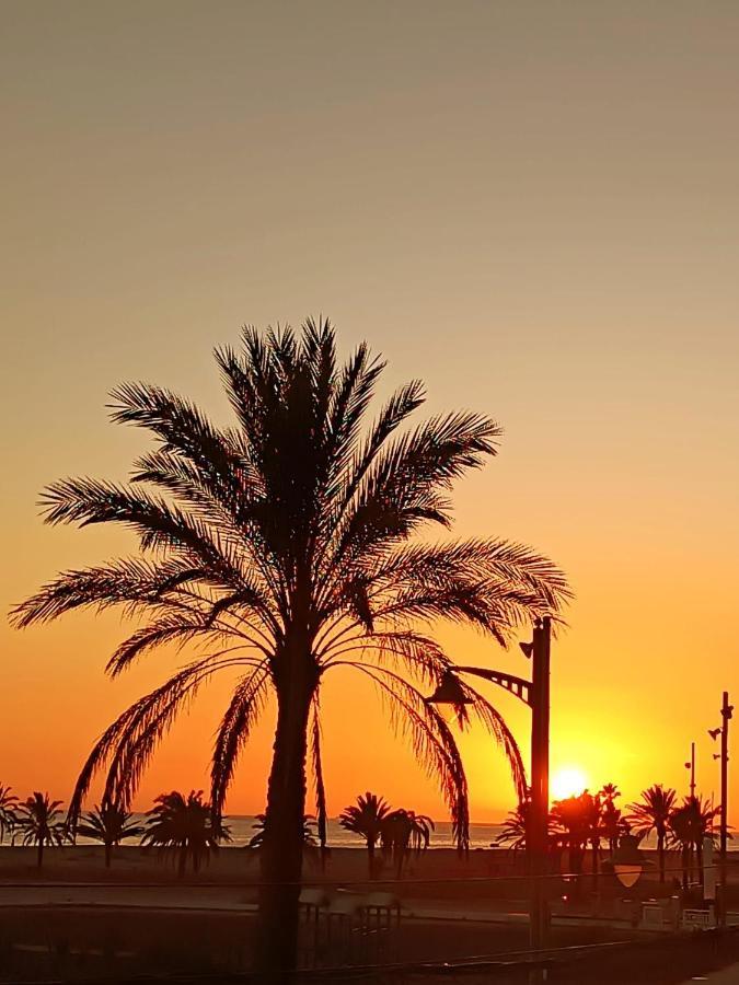 1ª Linea De Playa. Apartamento: La Calma コマルガ エクステリア 写真